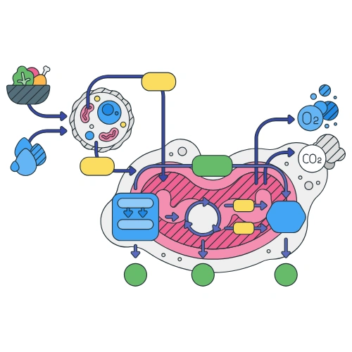 Sustainable Biosensor Development Conferences