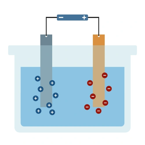 Sustainable Biosensor Development Conferences