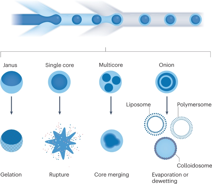 Sustainable Biosensor Development Conferences